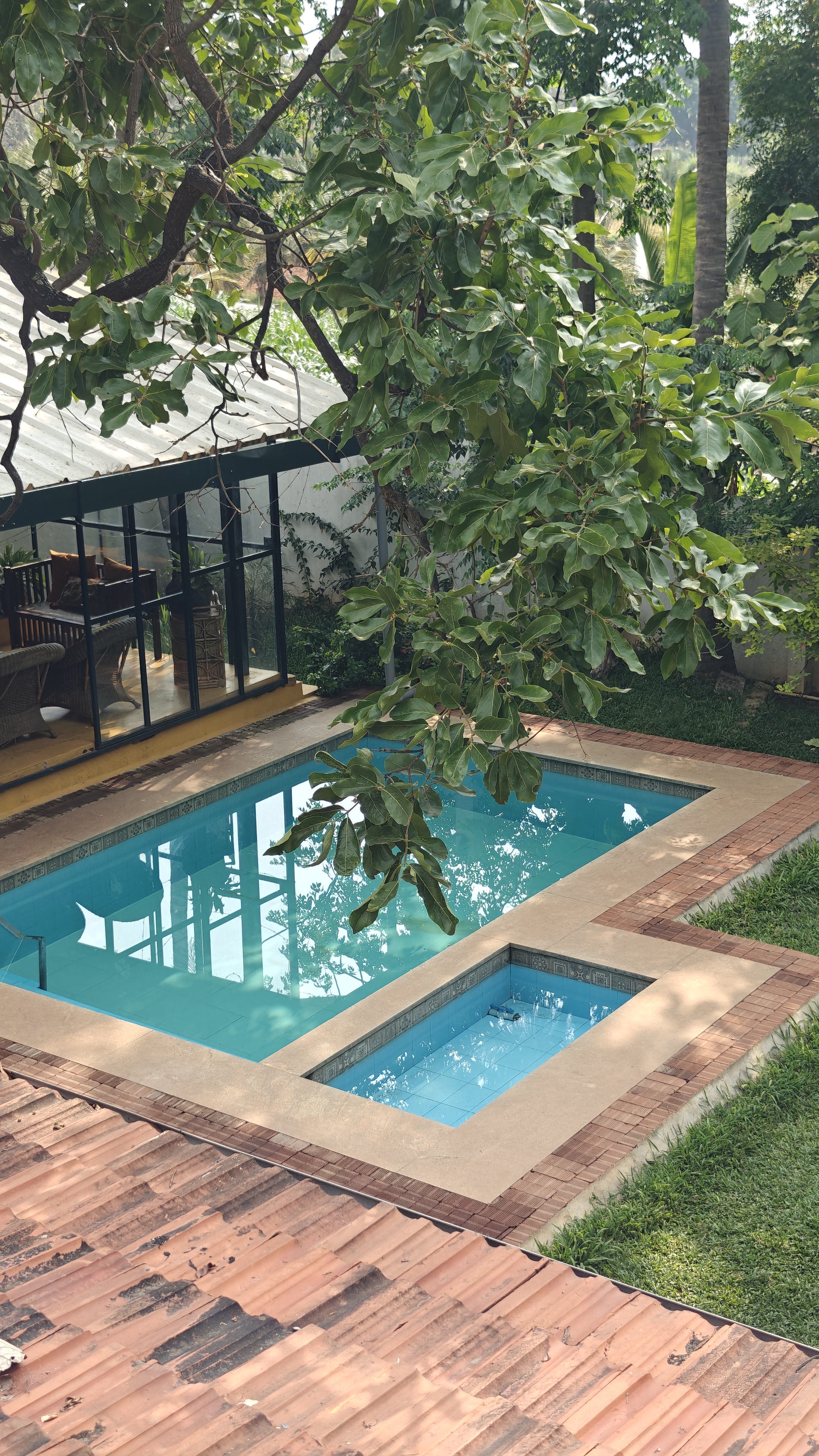 Pool and garden